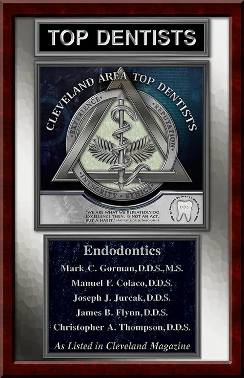 top dds virtual plaque 2015